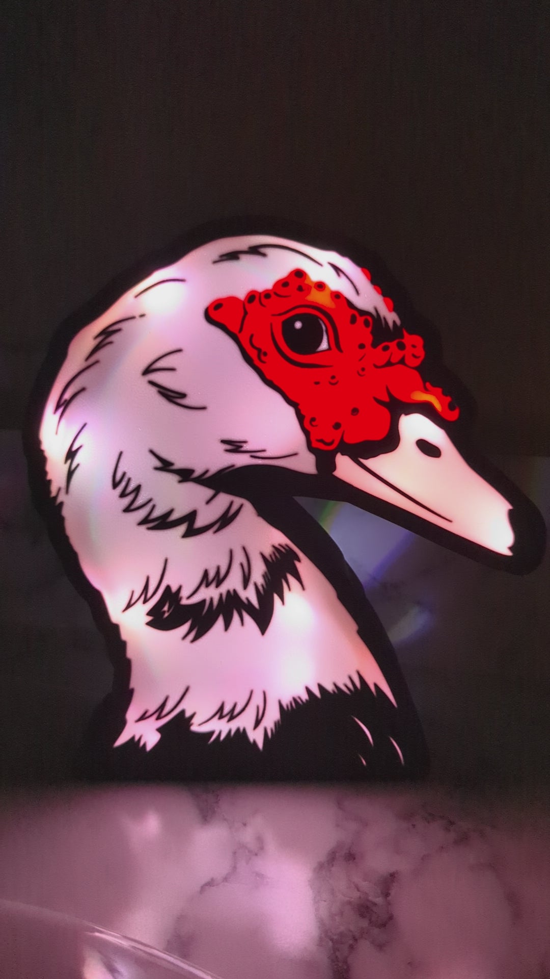 DIY Muscovy Duck Light Box – Made to Order