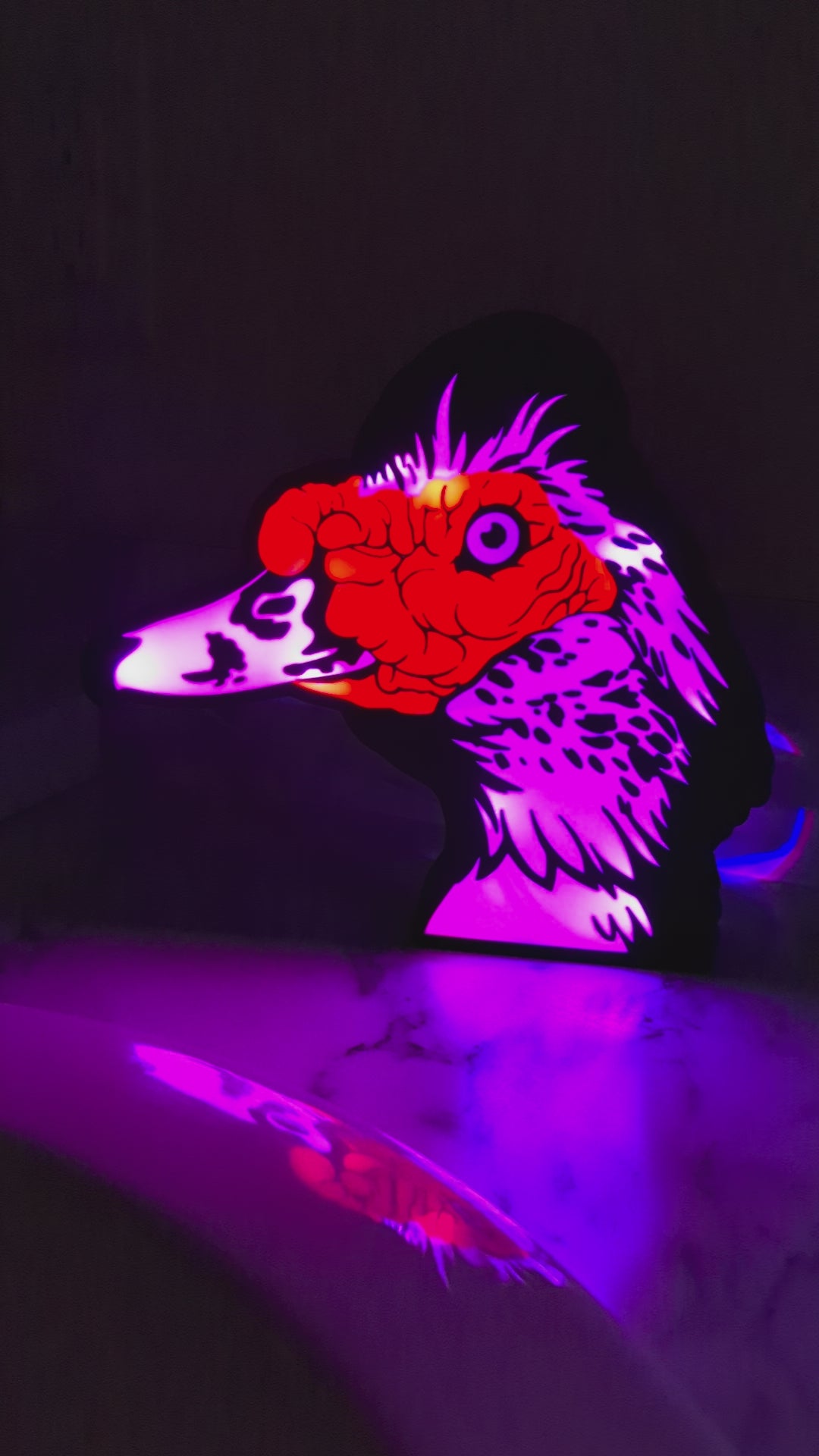 DIY Muscovy Duck Light Box – Made to Order