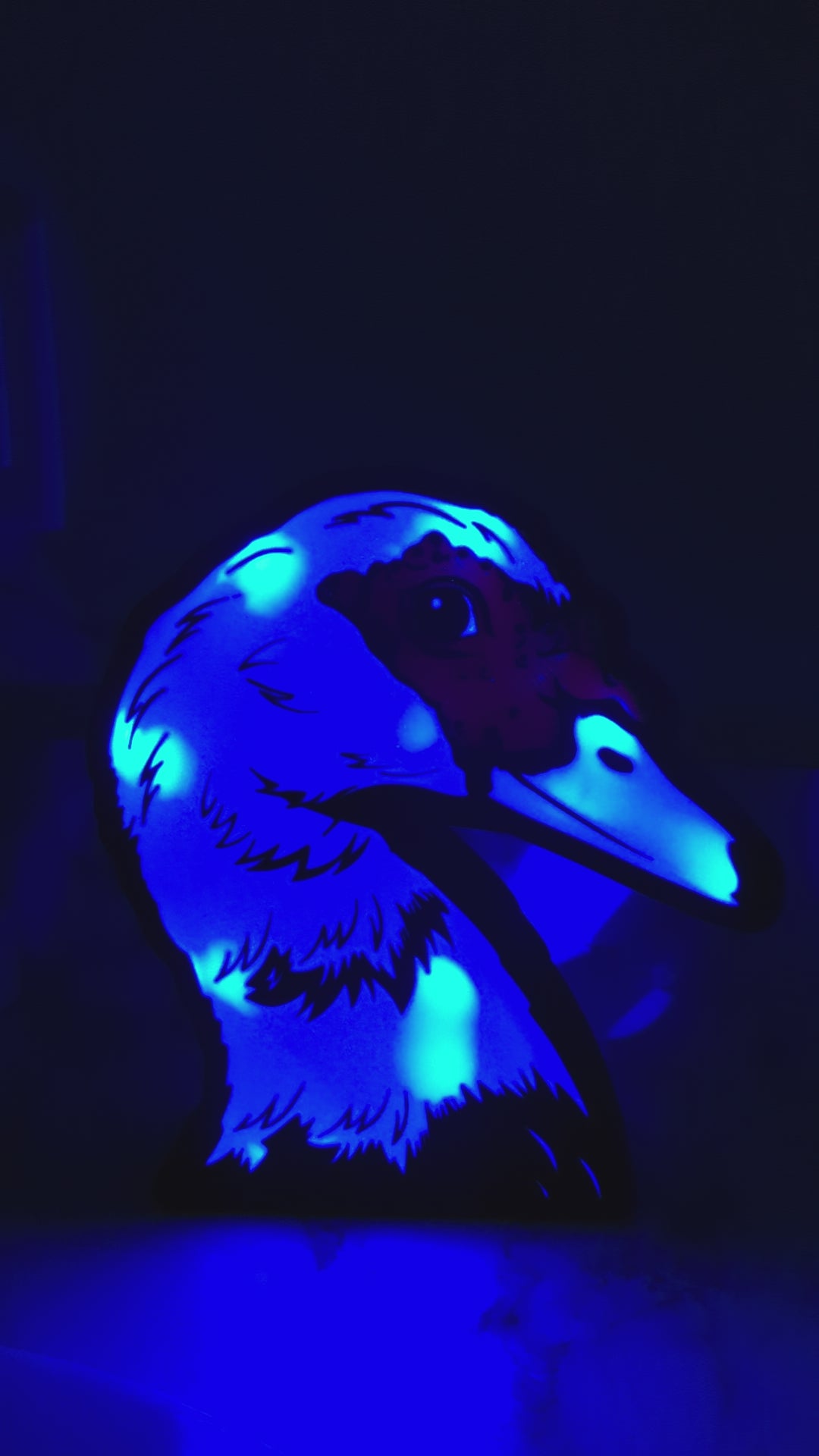 DIY Muscovy Duck Light Box – Made to Order