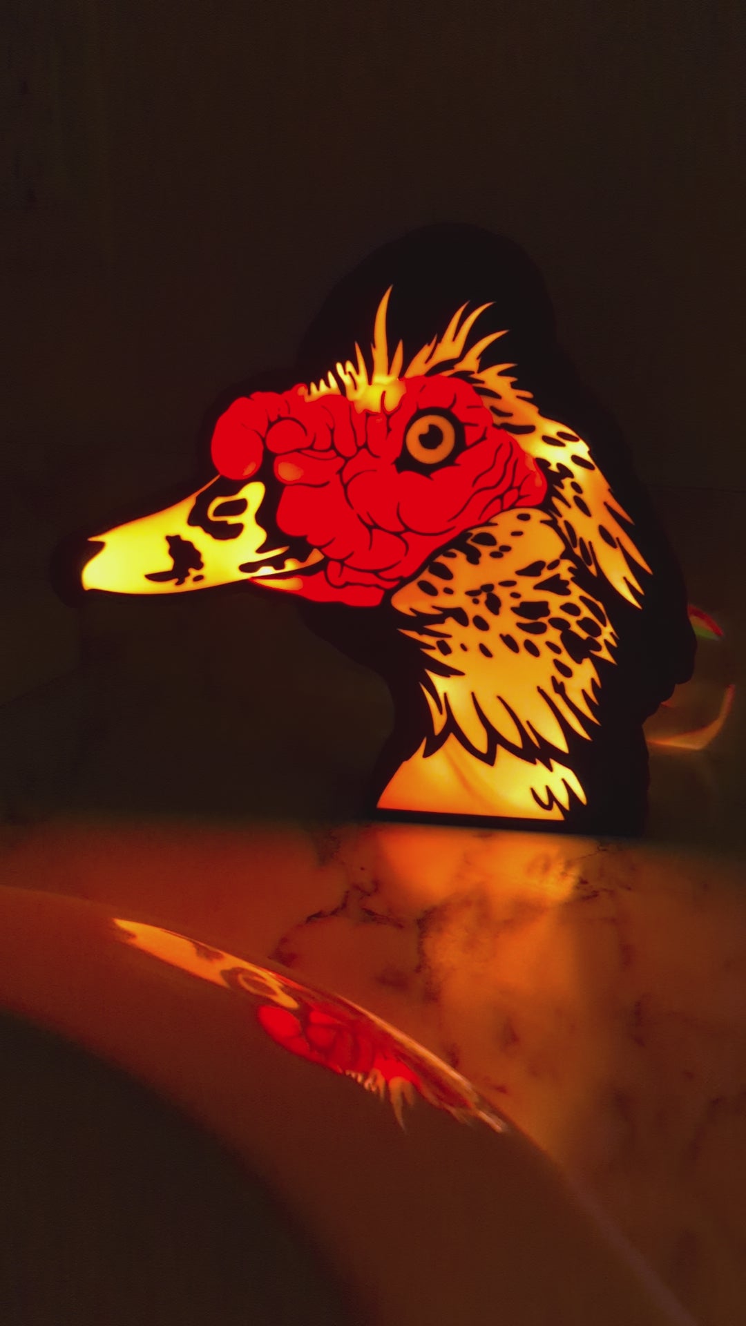 DIY Muscovy Duck Light Box – Made to Order