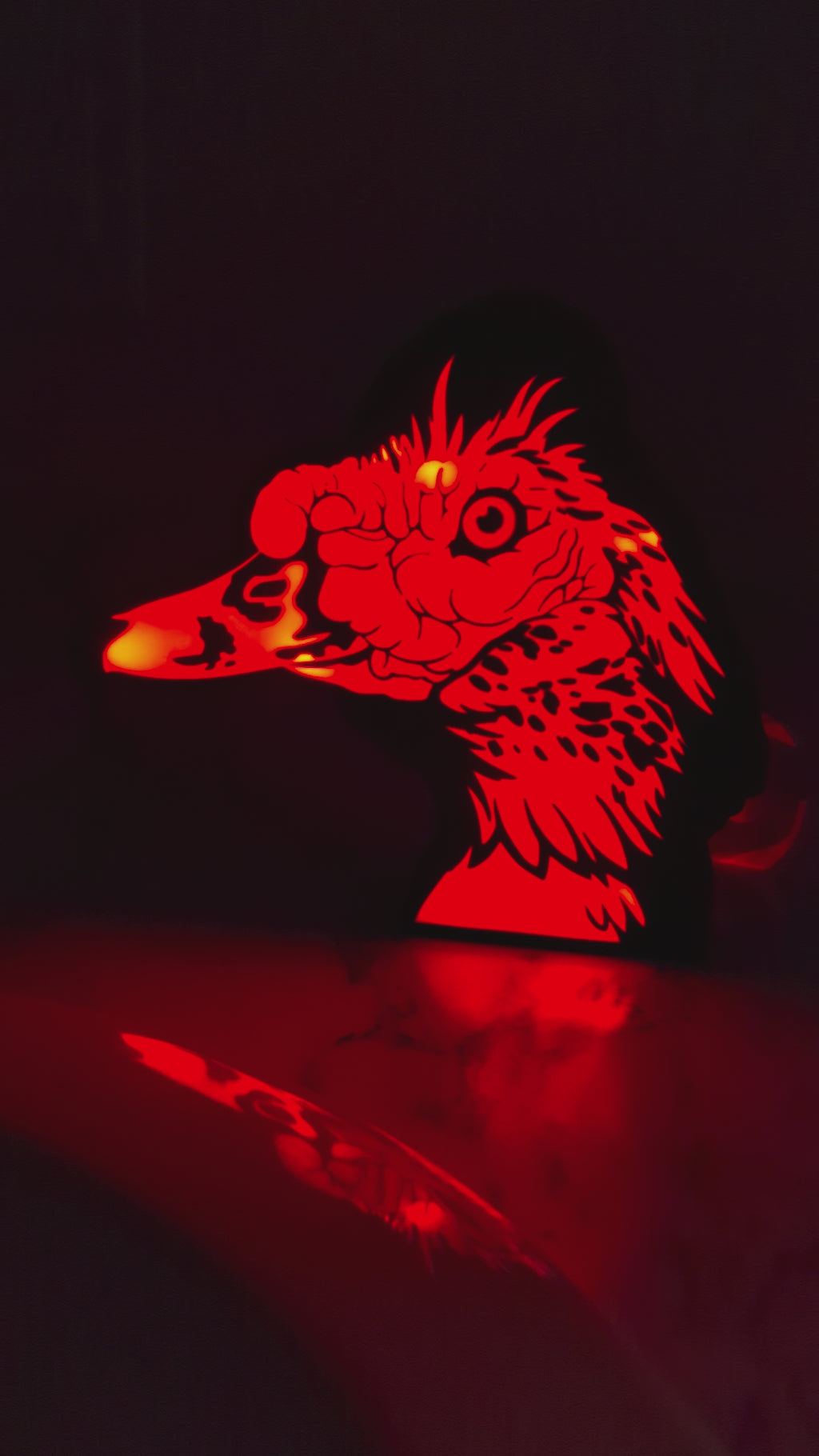DIY Muscovy Duck Light Box – Made to Order