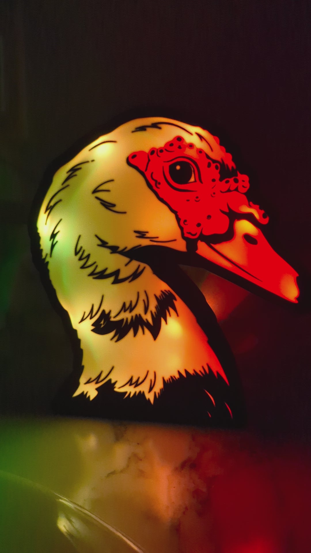 DIY Muscovy Duck Light Box – Made to Order