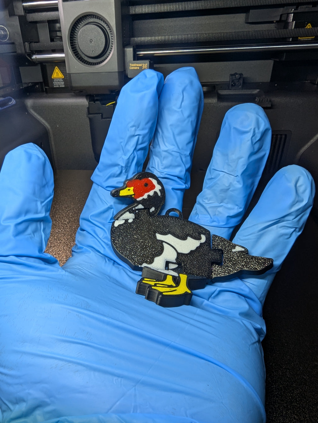 Muscovy Duck Key Chain