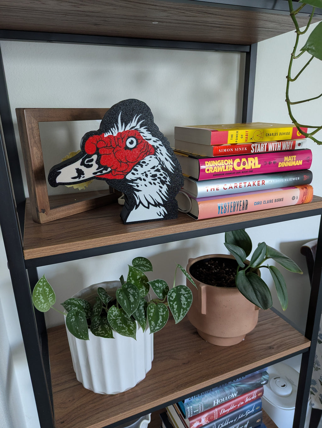 DIY Muscovy Duck Light Box – Made to Order