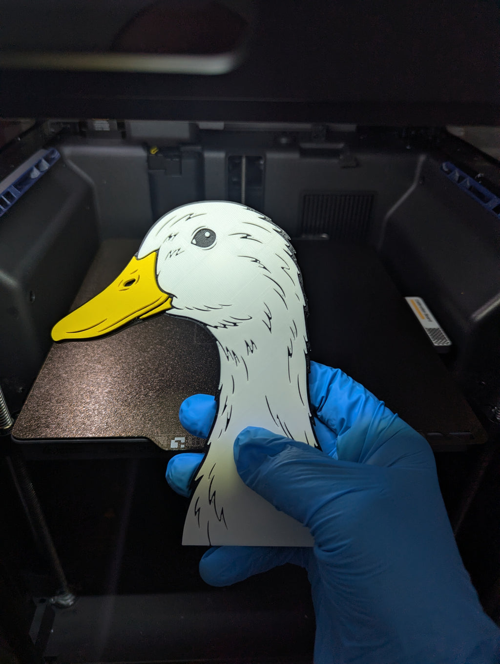 Large American Pekin Duck Magnet