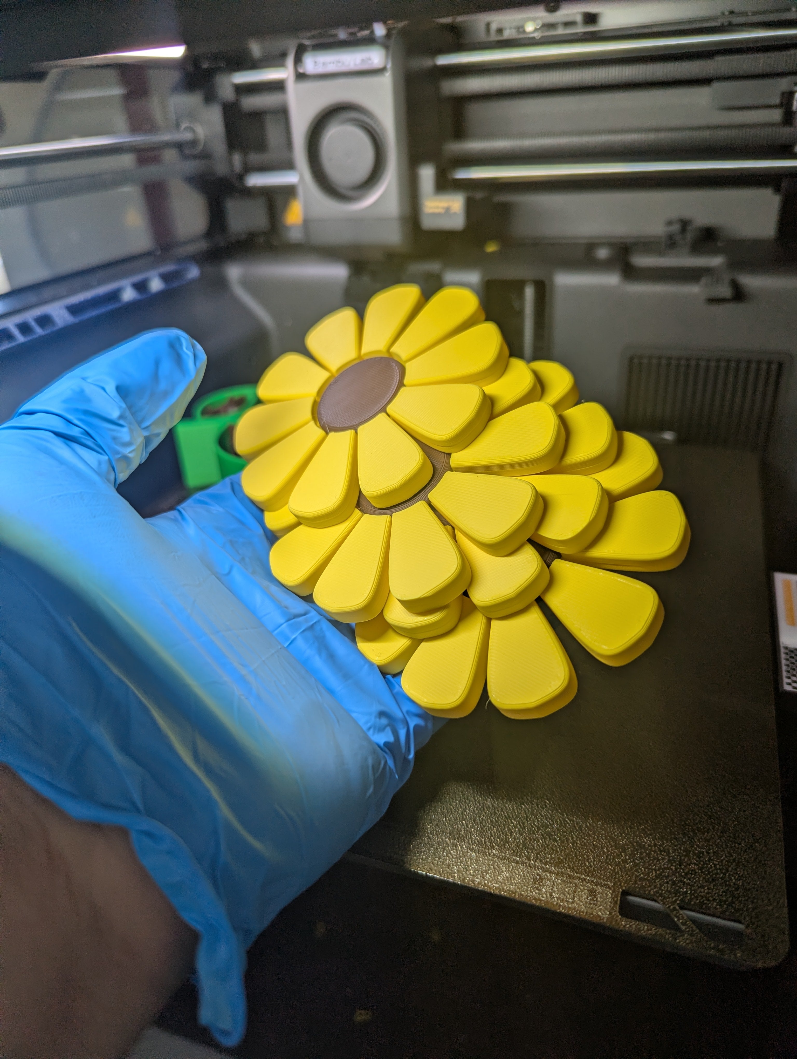 Sun Flower Coaster Holder Set