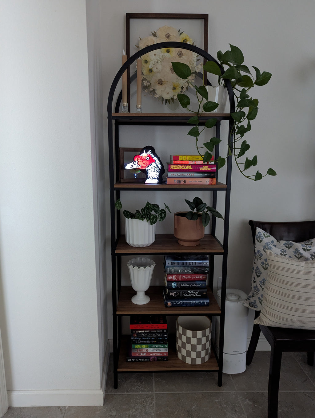 DIY Muscovy Duck Light Box – Made to Order