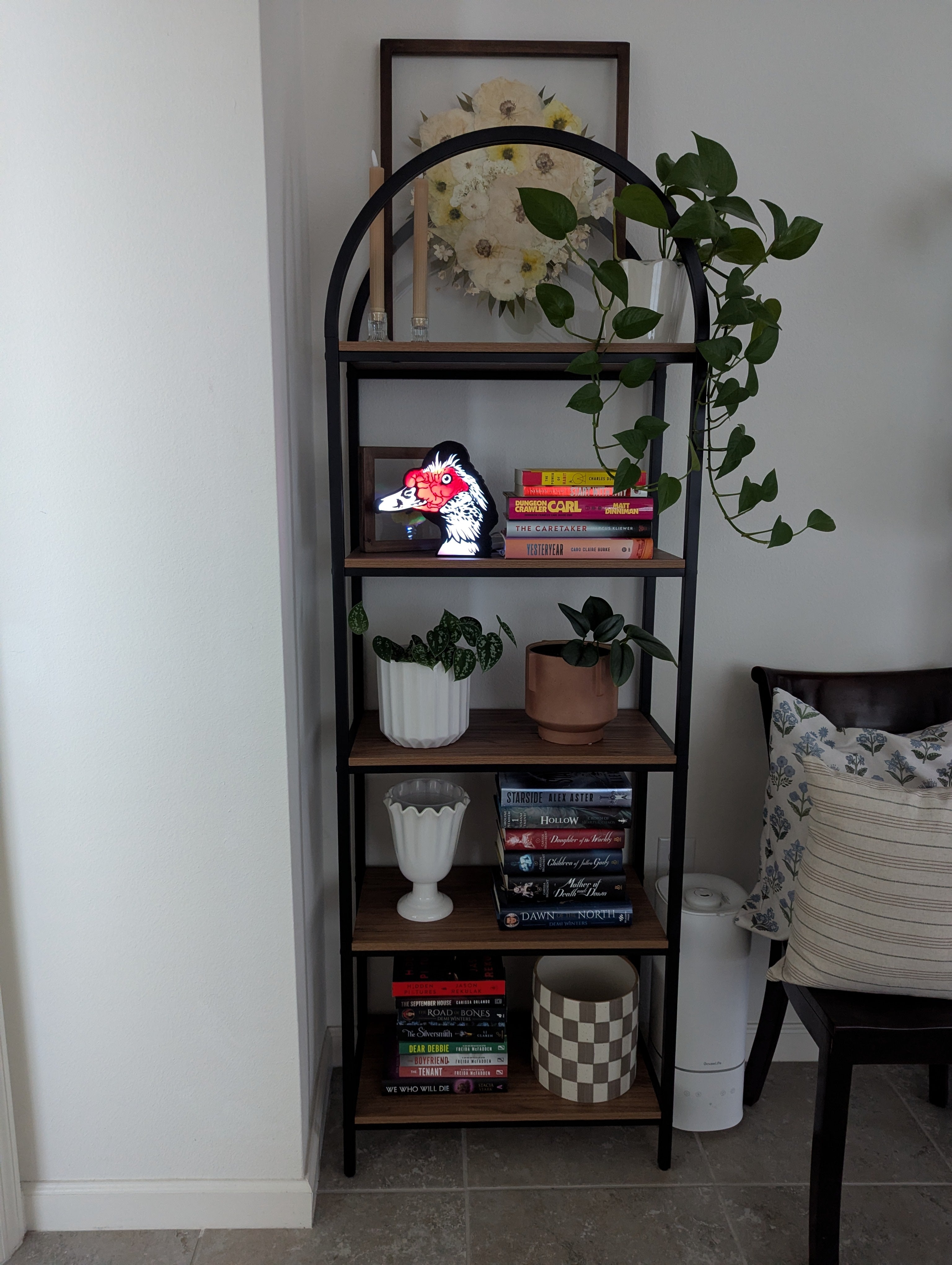 DIY Muscovy Duck Light Box – Made to Order