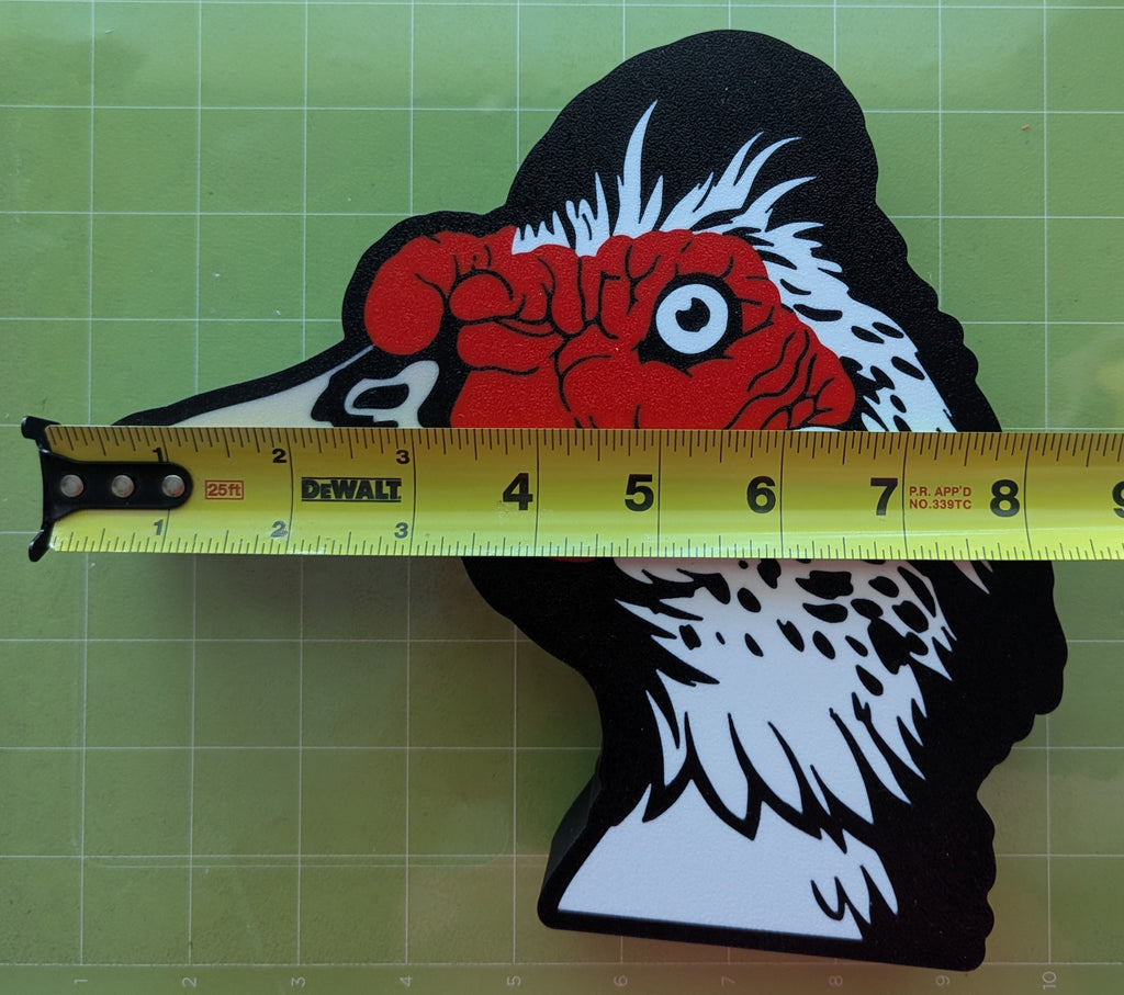 DIY Muscovy Duck Light Box – Made to Order
