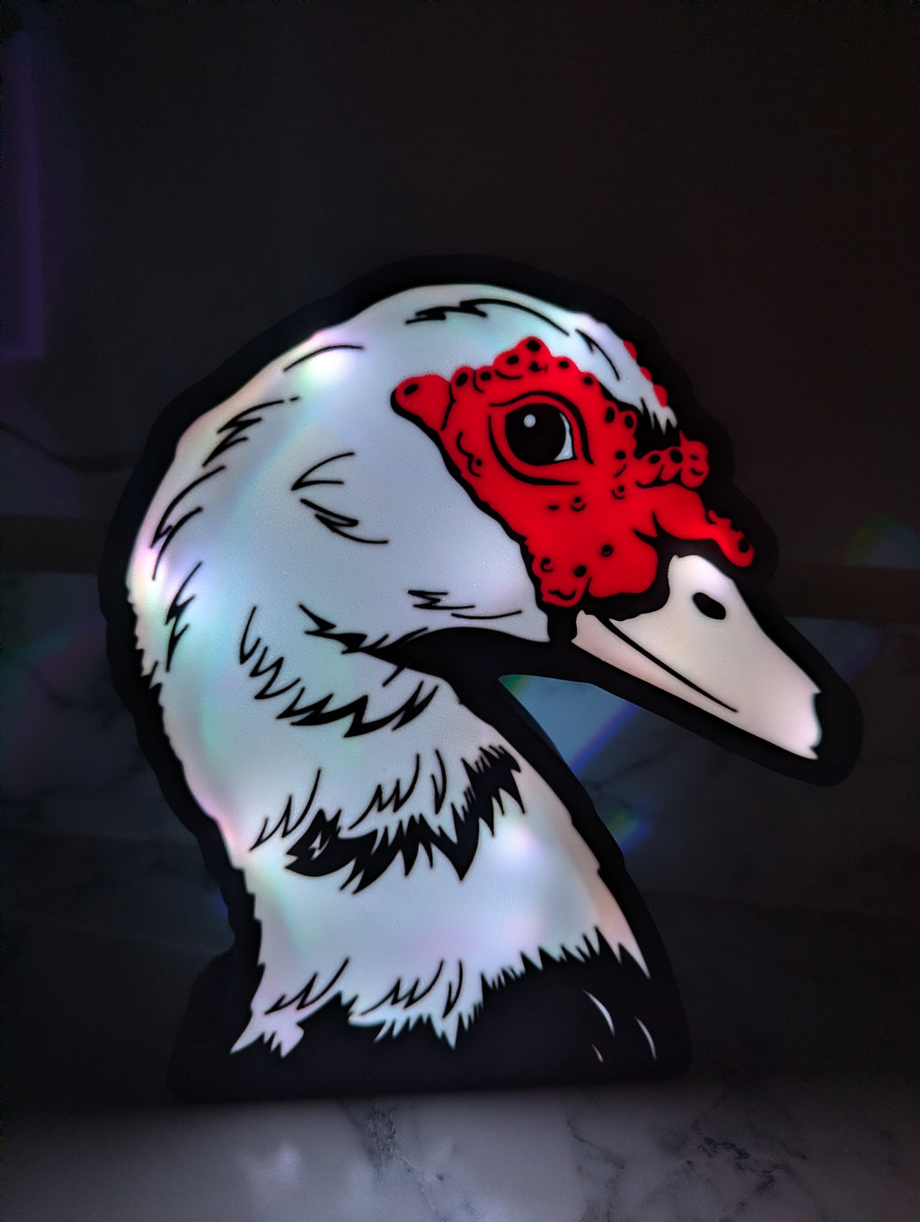DIY Muscovy Duck Light Box – Made to Order