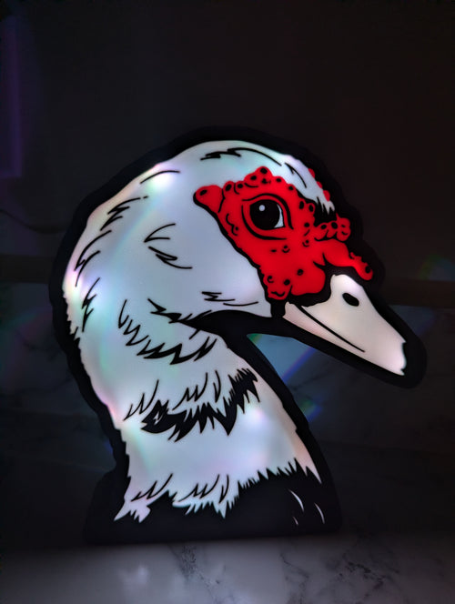 DIY Muscovy Duck Light Box – Made to Order
