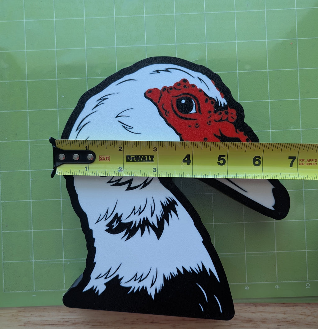 DIY Muscovy Duck Light Box – Made to Order