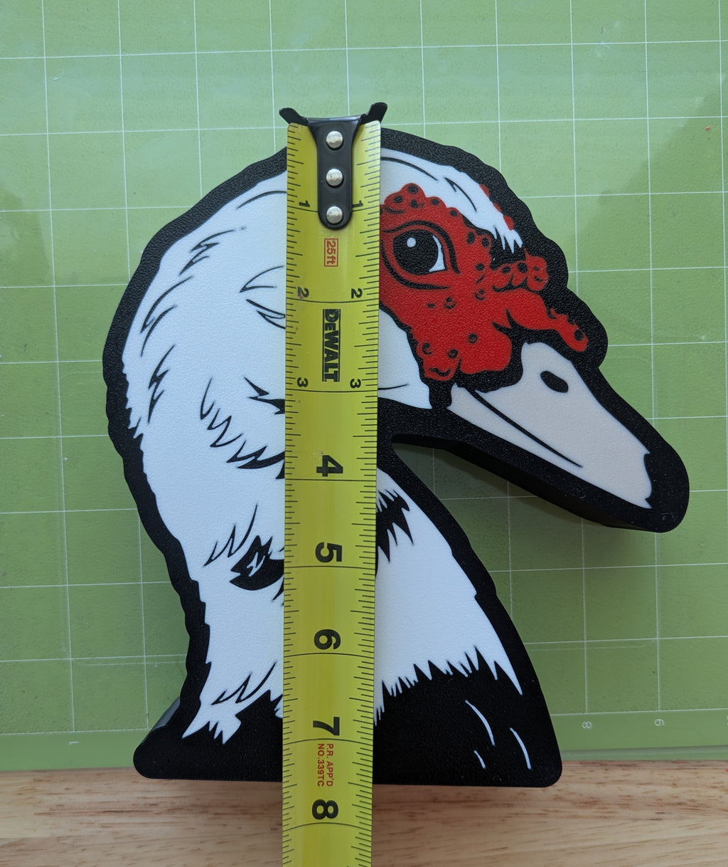 DIY Muscovy Duck Light Box – Made to Order