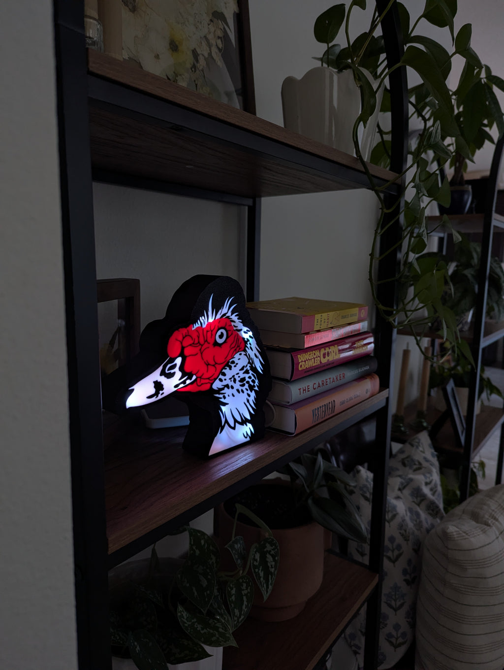 DIY Muscovy Duck Light Box – Made to Order